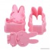 Edtoy 2PCS Pink DIY Miffy Rabbit Three-dimensional Biscuit Mold Baking Tools Cake Mold Fondant Tool Decorations - B07CN36ZX4